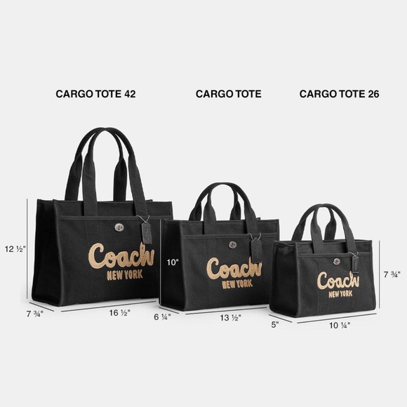 NWT-Coach-Rainbow🌈Embroidered Cargo Tote Bag-Rainbow🌈Strap-$350 - Picture 16 of 16